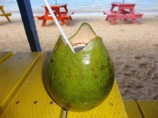 coconuts.JPG